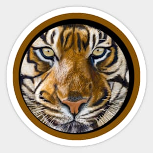 Tiger Sticker